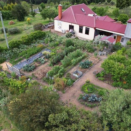 Cherry Top Farmstay - Boutique Eco Village Lilydale Екстериор снимка