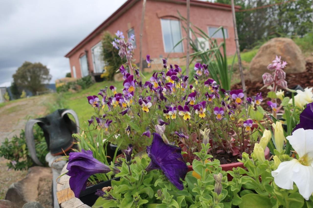 Cherry Top Farmstay - Boutique Eco Village Lilydale Екстериор снимка