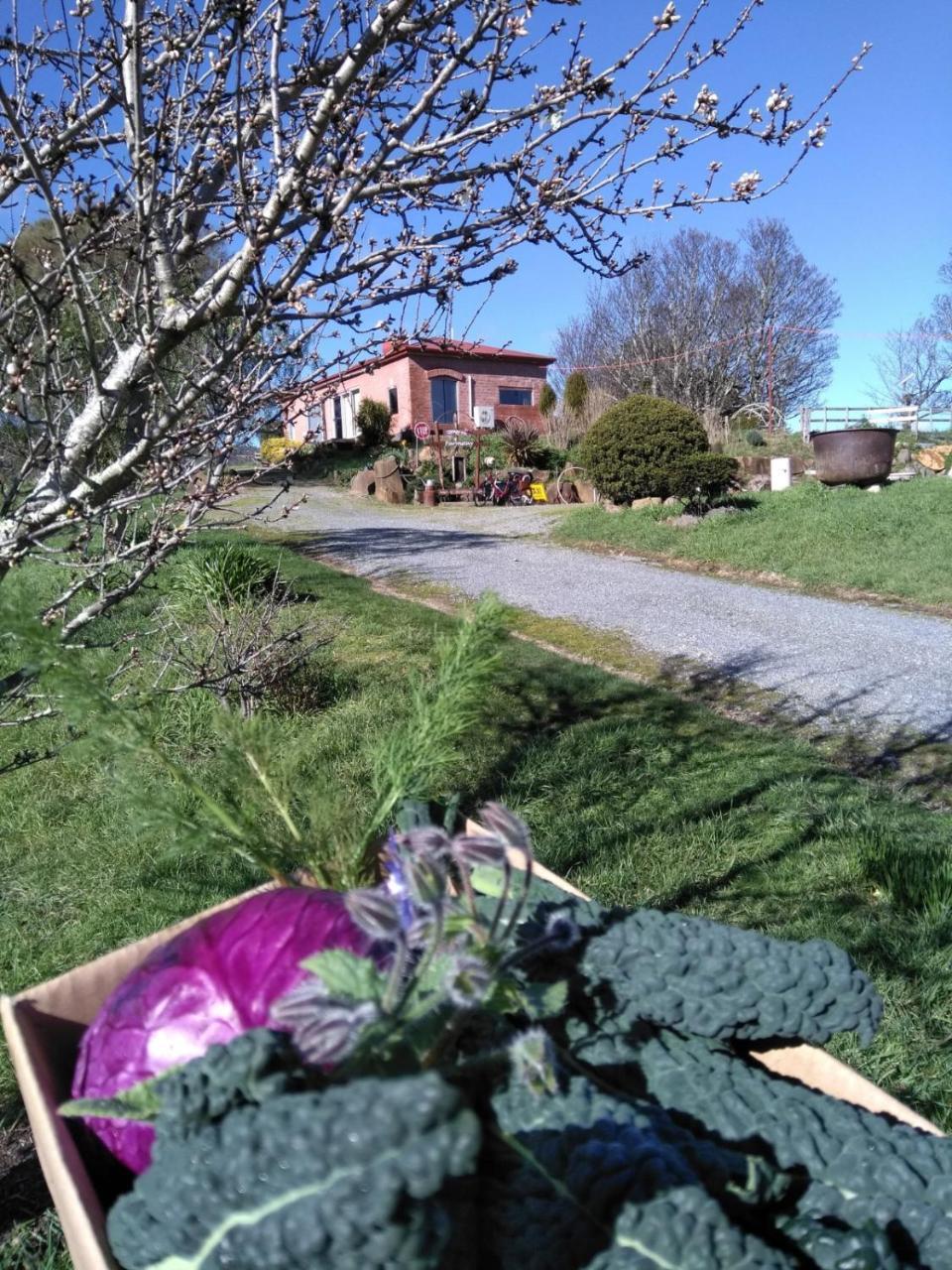 Cherry Top Farmstay - Boutique Eco Village Lilydale Екстериор снимка