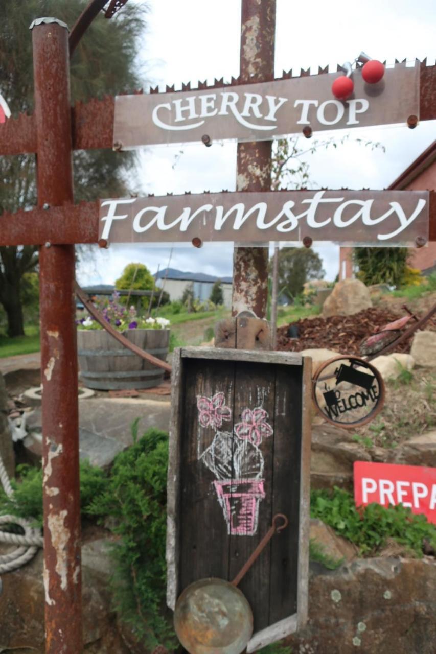 Cherry Top Farmstay - Boutique Eco Village Lilydale Екстериор снимка