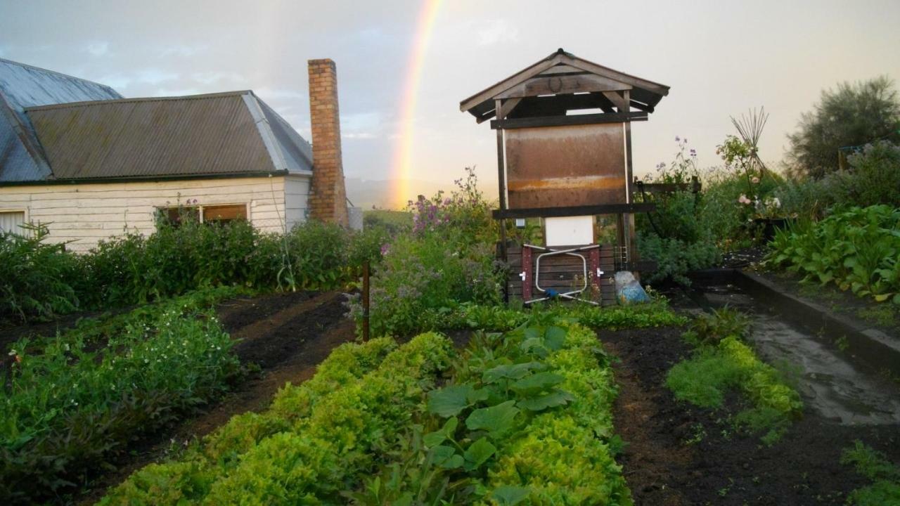 Cherry Top Farmstay - Boutique Eco Village Lilydale Екстериор снимка