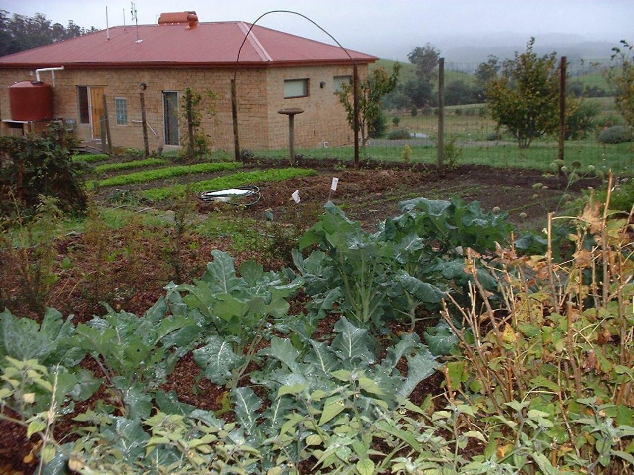 Cherry Top Farmstay - Boutique Eco Village Lilydale Екстериор снимка