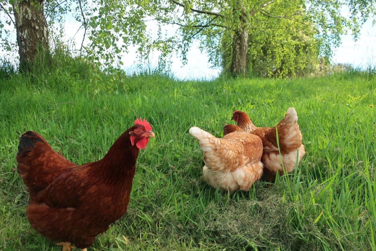 Cherry Top Farmstay - Boutique Eco Village Lilydale Екстериор снимка
