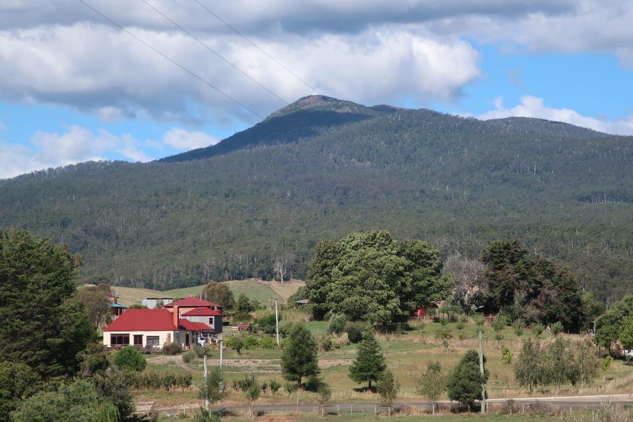 Cherry Top Farmstay - Boutique Eco Village Lilydale Екстериор снимка